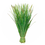 Lemongrass