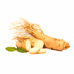 Ginseng